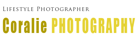 Photographe de mariage | International wedding photographer | Paris | France | Nord pas de Calais Portrait Grossesse Bébé Enfants Famille logo